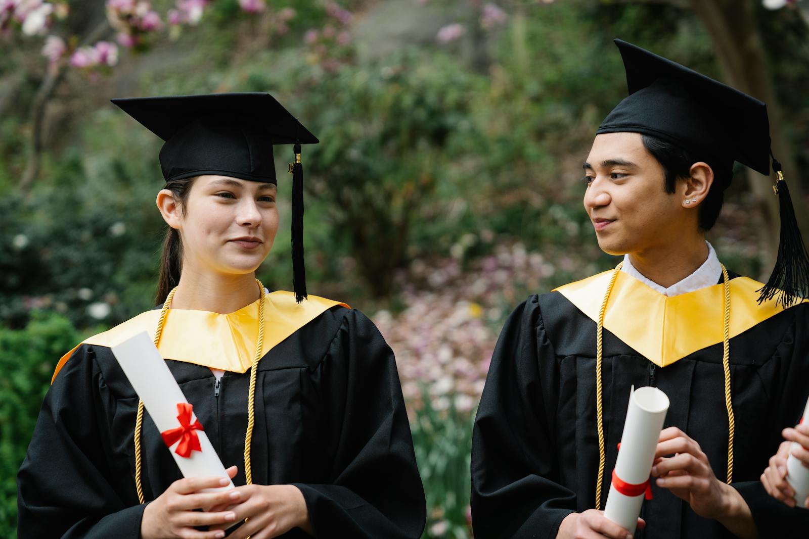 liste des Bachelors